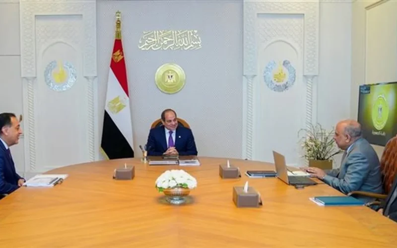 توجيه رئاسي لتعزيز استقرار الكهرباء خلال صيف 2026